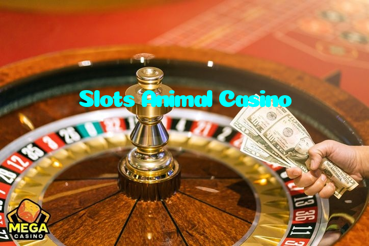 available types of Slots Animal Casino bet including pre-match live express and system bets